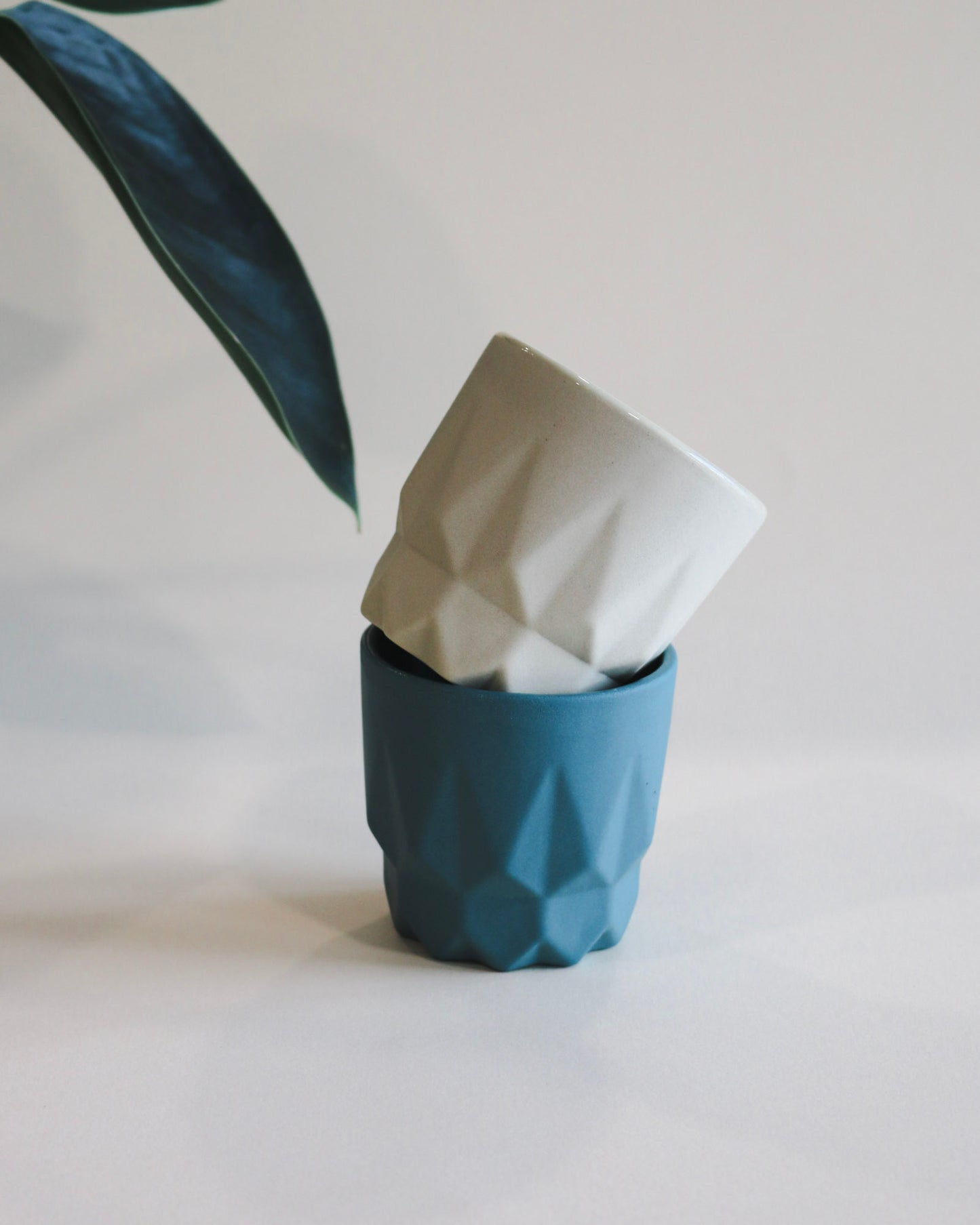 Tea Cup